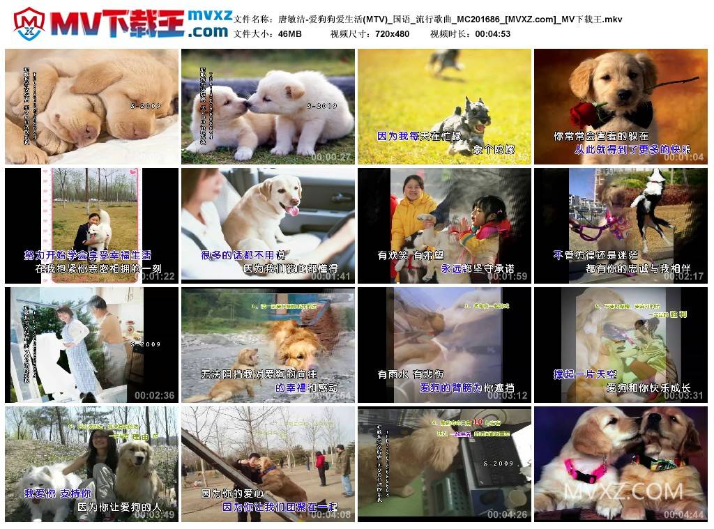 唐敏洁-爱狗狗爱生活(MTV)_国语_流行歌曲_MC201686